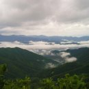 상청 Daum카페