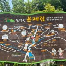 전남 보성 여행지와 윤제림 성림정원의 수국
