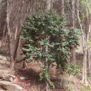 중앙늘샘쉼터 이미지