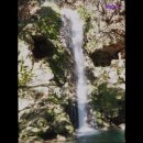 영일카써비스 이미지