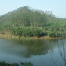 영정농장 이미지