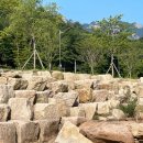 시어동 캠핑장 이미지