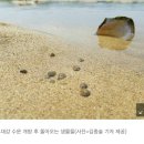 꼬마둥지 이미지