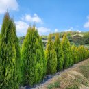 키다리농장 이미지