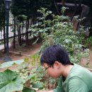 나라오이코스주 네이버블로그
