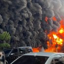 분당-310 이미지