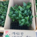 진주팜농약 이미지