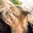 카타나 펜션 이미지