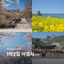 소로3-54 | 부안 가볼만한곳 내소사 개암사 벚꽃 수성당 유채꽃 1박2일 여행지
