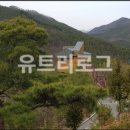 향로산 자연휴양림 수영장 이미지