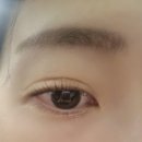 모아레스튜디오 잠실속눈썹 | ✨ 잠실새내 스튜디오 비비엘 속눈썹 수분케어펌 후기