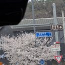 충주태권도 | 충주 아쿠아리움 솔직 후기 🐟｜아이랑 가기 좋은 실내 여행지🍼