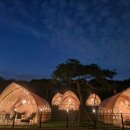 스테이그린 이미지