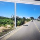 정동진공인중개사사무소 이미지