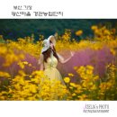 광산마을 티스토리