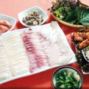 울진소나무 이미지