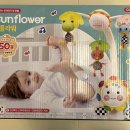 썬플라워 이미지