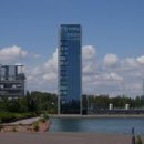 호사유피 이미지