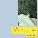 헤이데이 크로스핏 | 문래동 감성 헤이데이 크로스핏 드랍인 후기, 주차