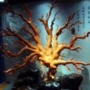 산호빌딩 이미지