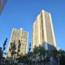 정발중학교 주변 이미지