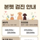 광주 본 동물병원 이미지