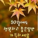 대대당구클럽 이미지