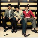 에스지워너비 카카오 검색결과