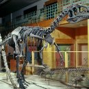 공룡pc방 이미지