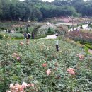 도담공원2 이미지