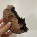 (주)동명제과 화순도곡점 | 광주 근교 화순 도곡 맛집 동명제과 화순도곡점 내돈내산 후기