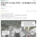 호텔 나온뒤 시속 100㎞ 역주행… 시민-車 충돌후 속도 줄며 멈춰 이미지