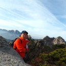 에덴동산 이미지