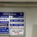 더 이쁨 속눈썹 | 자연스럽게 이뻐지기 성공! 범계속눈썹펌 늘이쁨 후기