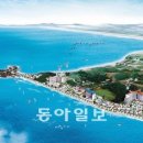 간월도관광지 주차장 동아일보