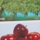 영석농장 이미지