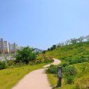 경기도청공무직통합 노동조합 | 여수 가볼만한곳! 산책 겸 데이트 코스로 좋은 이순신공원