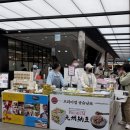 (주)밀레펫(이마트광주점) | 광주 신세계 백화점 최신 팝업 내돈내산 후기