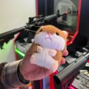 바로키친 | [리솜포레스트 제천 내돈내산] 몬도 키친 뷔페 / 찜질방 / 오락실, 식당 솔직 후기