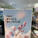 소다롯데노원점 | 노원 롯데 백화점 무인양품 : 벚꽃 에디션과 잠옷 🍑🍑