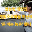 가시 태양광발전사업 이미지