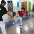 연세파워태권도 이미지