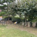 비피펜션 이미지