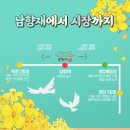 독천5일시장 | 영암 시장은 어디에요?