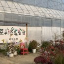 힐링팜