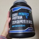 퍼펙트마트 | WPC WPI 단백질 파우더 게이너마트 코어 퍼펙트 프로틴 내돈내산 후기!