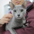 명지오션시티동물병원 이미지