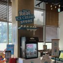 몰리스펫샵 이마트광교점 | 하남 스타필드 몰리스 펫샵 강아지 하림펫푸드 더리얼 아이스크림 팝업 위치