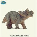 카티에스 이미지
