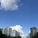 이상록동물병원 이미지